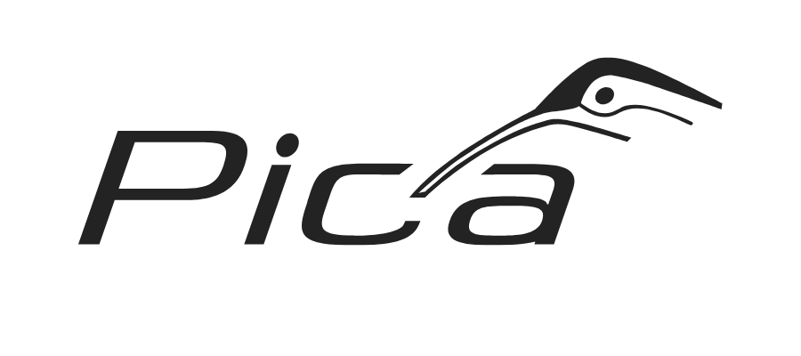 Pica