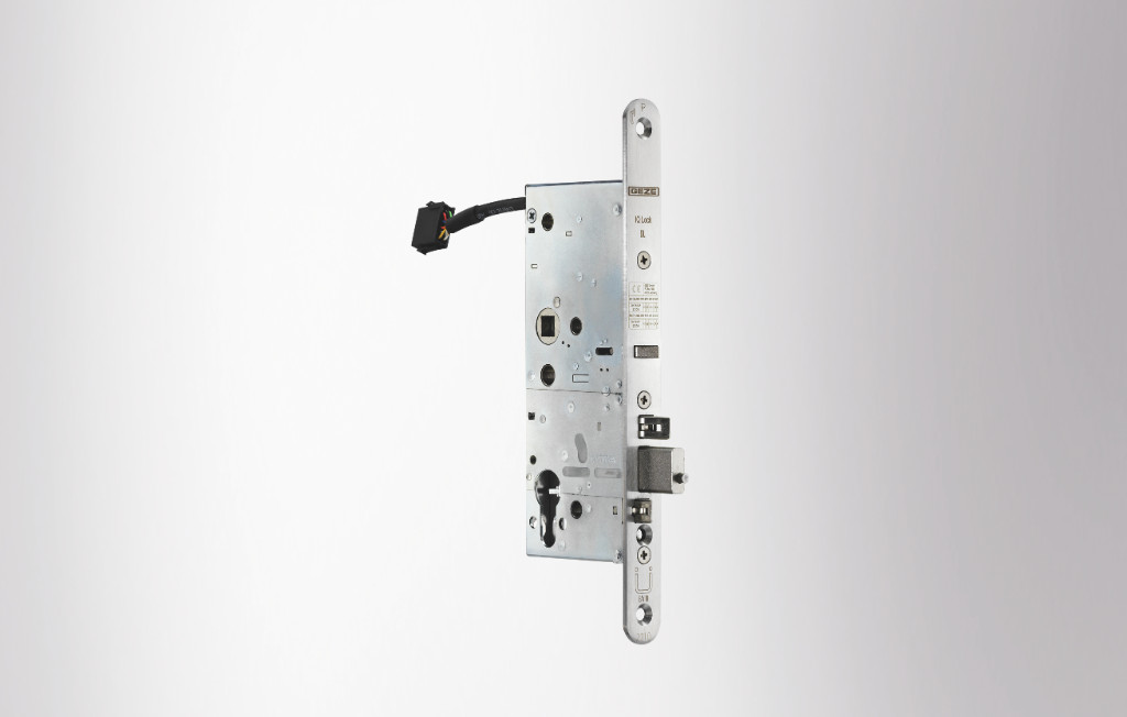 Produktaufnahme, Tier, Vogel, Fliegend