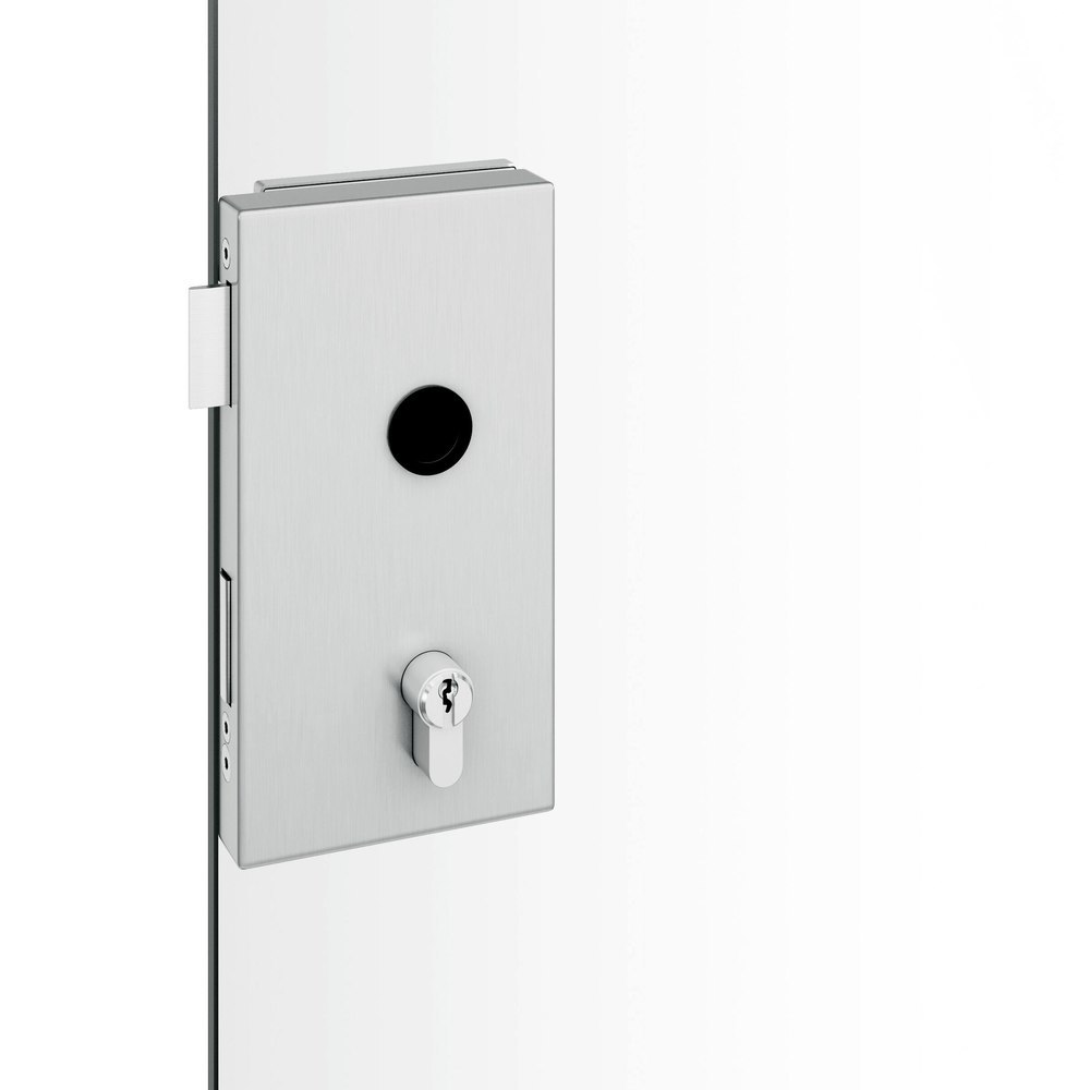 FSB FH Ganzglastürschloss 13 4220, AP-D, Edelstahl
