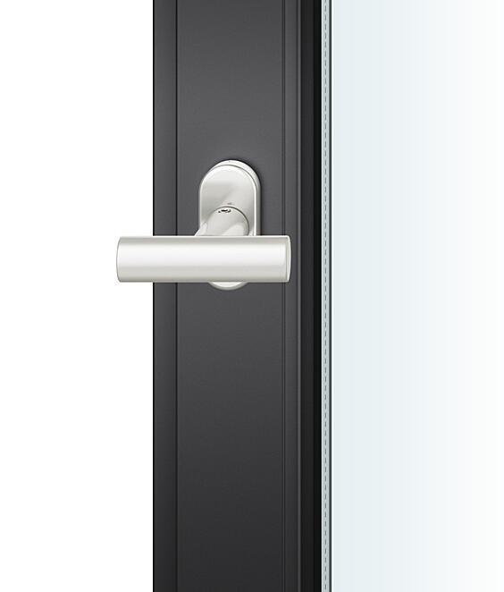 Türgriff, Hebelschloss, Metall, Oberfläche silber, Türvorderseite