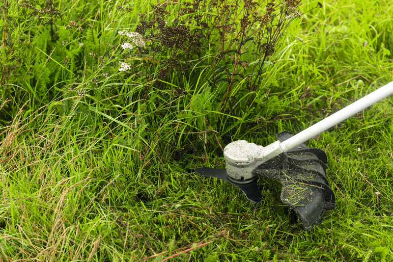 Anwendungsbild, Gras, Rasen, Rasenkreisel?, Bodenvorhang?, Gartenwerkzeug-Aufsatz