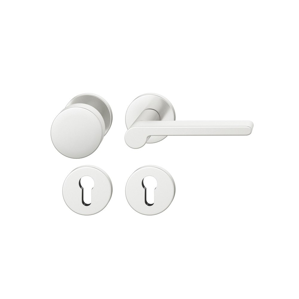 FSB Wechselgarnitur mit Rosetten 12 1021, Knopf 0 829, VK 8, rund, Aluminium