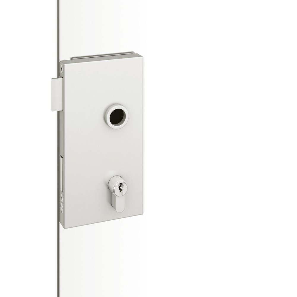 FSB Ganzglastürschloss 13 4224, Aluminium