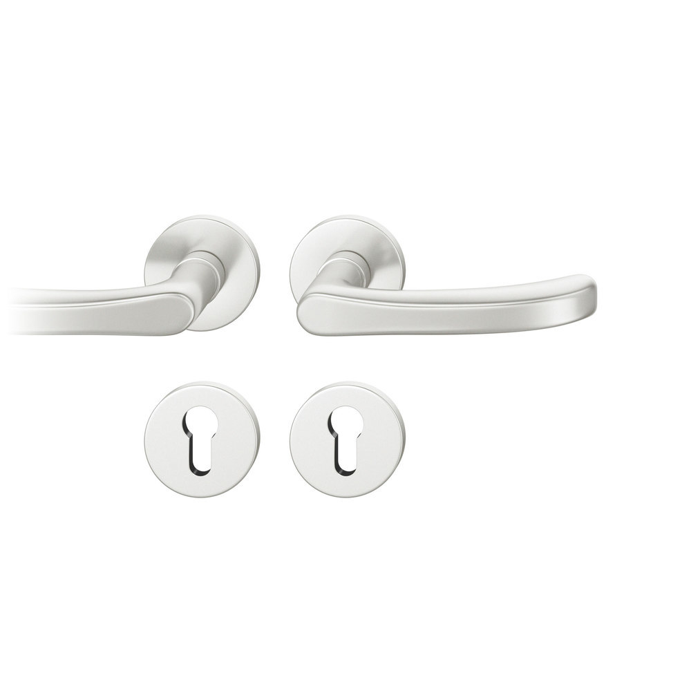 FSB FH Drückergarnitur mit Rosetten 79 1043, rund, mit Nocken, VK 9, AGL3, Aluminium