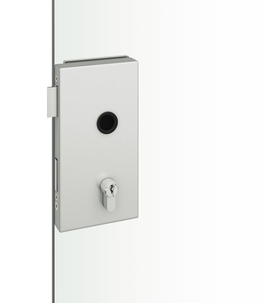 FSB Ganzglastürschloss 13 4220, für Rosetten, Aluminium