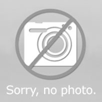 Elektro-Türöffner effeff 342UR