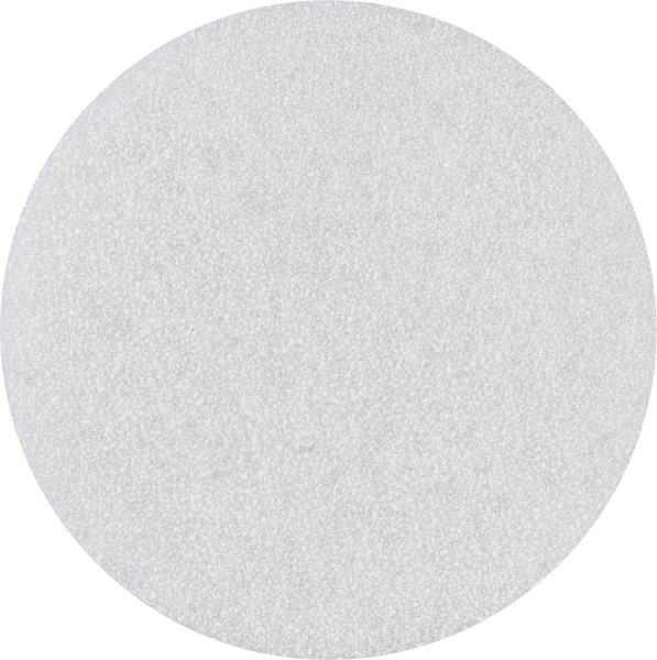 Bosch EXPERT N880 Vliesscheibe für Exzenterschleifer, 125 mm, 20-tlg.