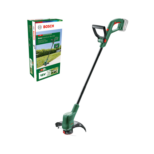 Gras, Pflanze, Rasen