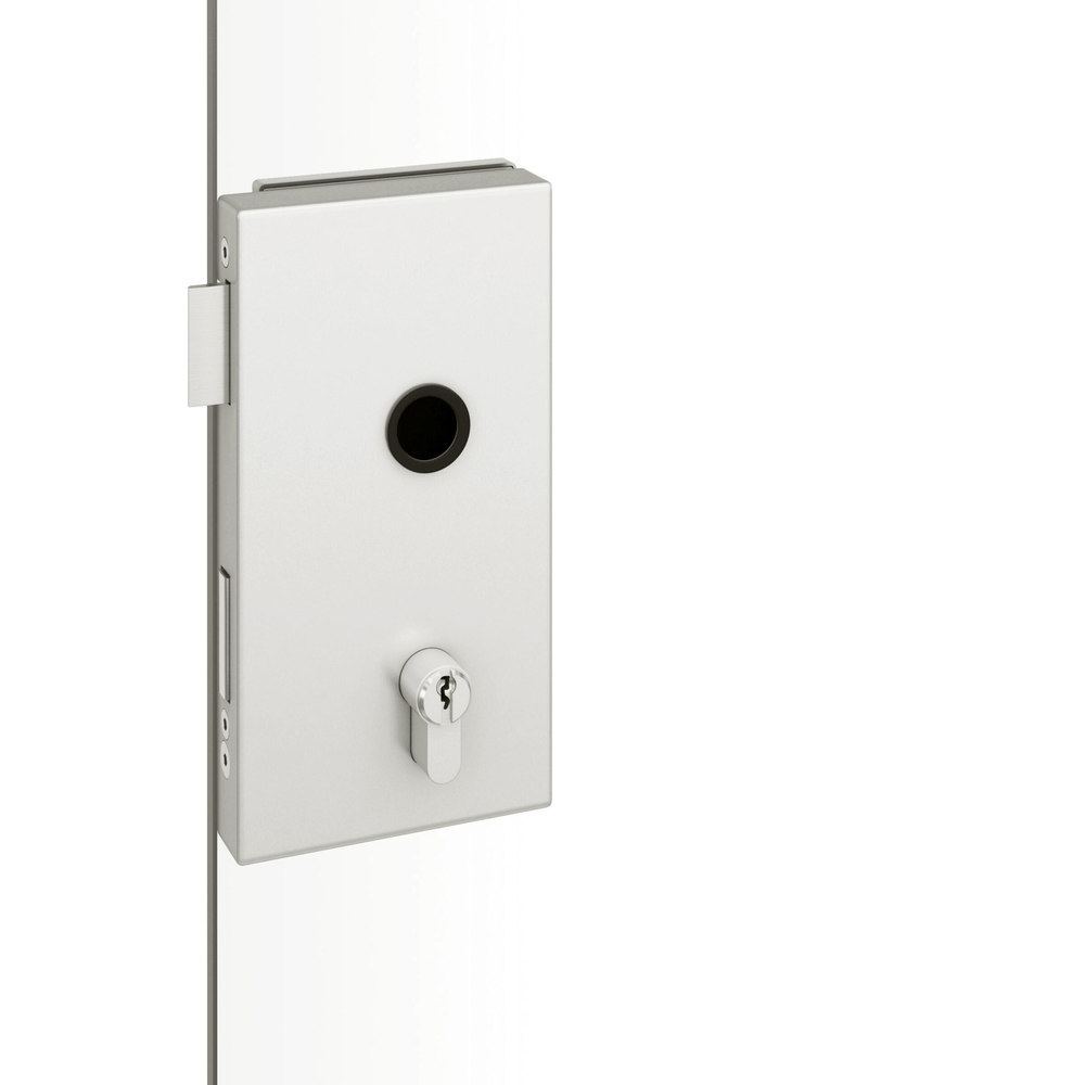 FSB Ganzglastürschloss 13 4220, Aluminium
