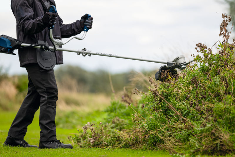 Anwendungsbild, Gartengerät, Heckenschere, Motorsense, Bush schneiden, Grünpflanze