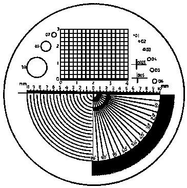 nextpim_1ebd4970bdecfe46365ccff507e10d7628e3dcc9e1f605614ed8e145066392e5_41879.jpg